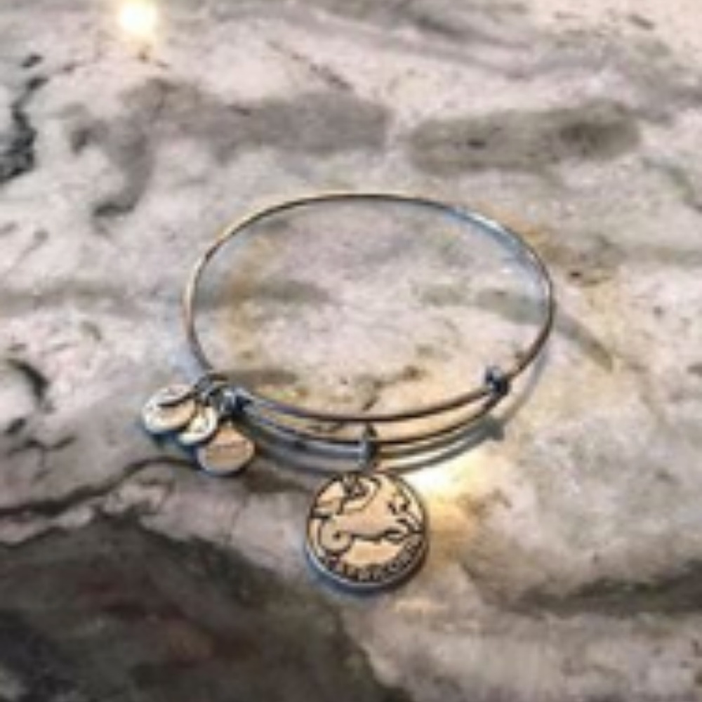 Alex and Ani w/ Capricorn Charm